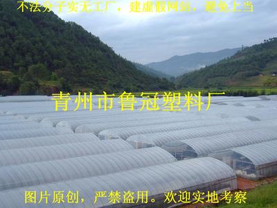 蔬菜大棚膜廠家||大棚膜供應(yīng)商//大棚塑料薄膜廠家圖片|蔬菜大棚膜廠家||大棚膜供應(yīng)商//大棚塑料薄膜廠家產(chǎn)品圖片由青州市魯冠塑料廠公司生產(chǎn)提供-