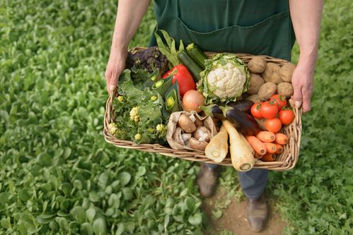 拿不出認(rèn)證被立案,難辨真假的高價(jià)有機(jī)農(nóng)產(chǎn)品,還能炒作多久