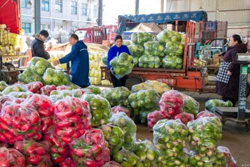 宿豫 農(nóng)產(chǎn)品供銷兩旺