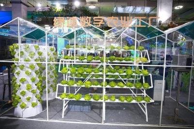 新主體、新技術(shù)、新產(chǎn)品 從今年農(nóng)博會(huì)看&ldquo;浙&rdquo;有新能力