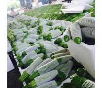 東莞食堂承包產(chǎn)品庫(kù)