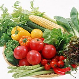 夏季防 冰箱食物中毒