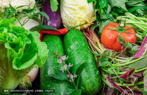 蔬菜之美 中國菜系中的藝術與餐飲攝影素材